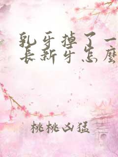 乳牙掉了一直没长新牙怎么办