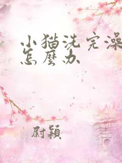 小猫洗完澡拉稀怎么办