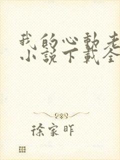 我的心动老板娘小说下载全文