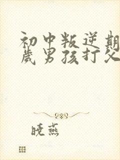 初中叛逆期15岁男孩打父母