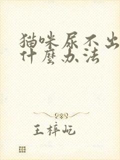 猫咪尿不出来有什么办法