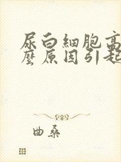 尿白细胞高是什么原因引起的