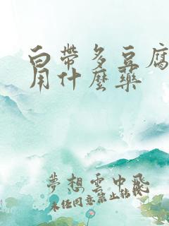 白带多豆腐渣样用什么药