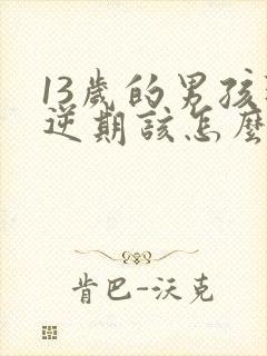 13岁的男孩叛逆期该怎么办