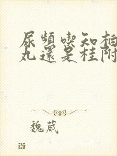 尿频吃知柏地黄丸还是桂附地黄丸