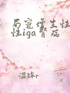 局灶增生性硬化性iga肾病