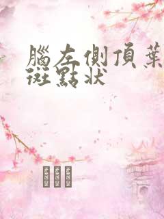 脑左侧顶叶少许斑点状