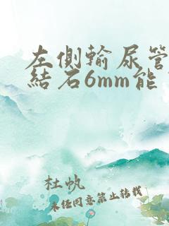 左侧输尿管上段结石6mm能自己排吗