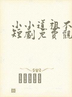 小小道祖不好惹短剧免费观看