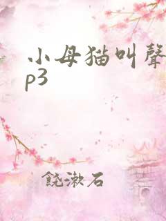 小母猫叫声音mp3