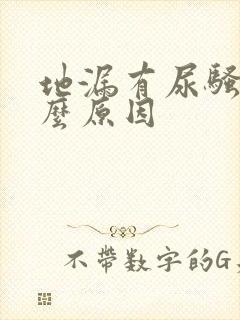 地漏有尿骚味什么原因