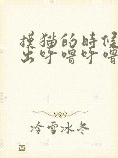 摸猫的时候猫发出呼噜呼噜的声音