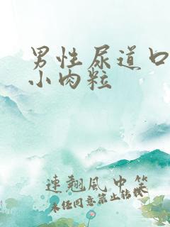 男性尿道口上长小肉粒