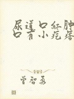 尿道口红肿阴道口有小疙瘩