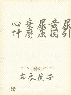 心衰尿黄尿少是什么原因引起的