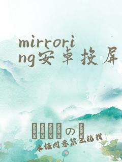 mirroring安卓投屏软件