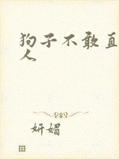 狗子不敢直视主人