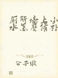 厕所墙上小洞漏水怎么修补