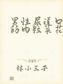 男性尿道口长长的肉粒菜花状