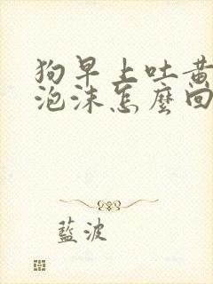 狗早上吐黄水带泡沫怎么回事