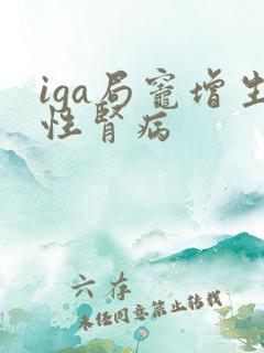 iga局灶增生性肾病