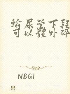 输尿管下段结石可以体外碎石吗