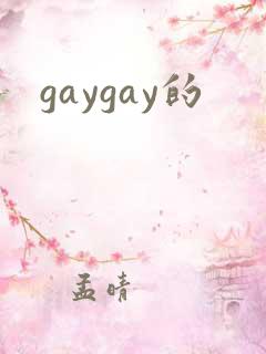 gaygay的
