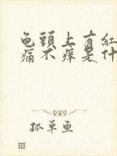 龟头上有红斑不痛不痒是什么情况