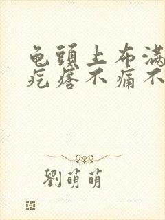 龟头上布满了小疙瘩不痛不痒