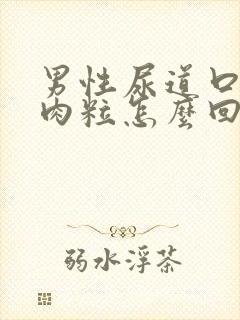 男性尿道口里有肉粒怎么回事