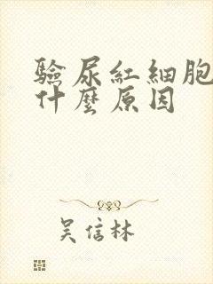 验尿红细胞高是什么原因