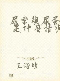 尿常规尿蛋白1 是什么情况