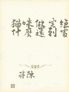 猫咪做完绝育为什么还到处乱尿