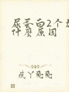 尿蛋白2个加是什么原因