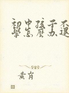 初中孩子不想上学怎么办退学