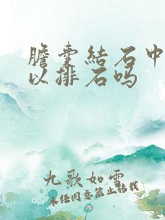 胆囊结石中药可以排石吗