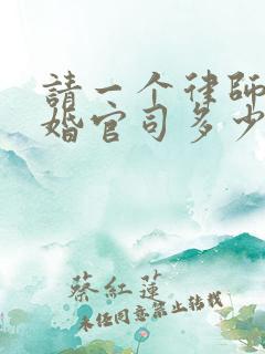 请一个律师打离婚官司多少钱