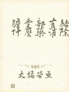 胆囊部有结石吃什么药消除得到