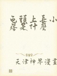 龟头上长小红疙瘩是什么