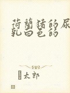 荷兰猪的尿液是乳白色的