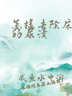 怎样去除床垫上的尿渍