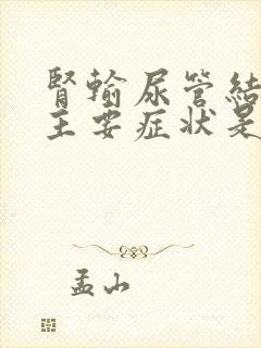 肾输尿管结石的主要症状是什么