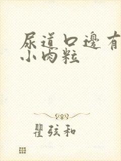 尿道口边有白色小肉粒