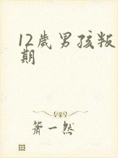 12岁男孩叛逆期