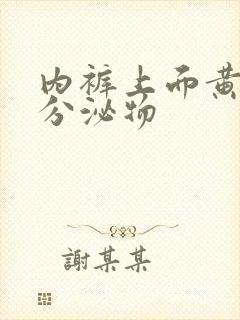 内裤上面黄色的分泌物