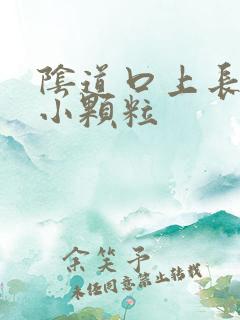 阴道口上长一个小颗粒