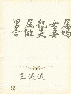 男属龙女属狗适合做夫妻吗