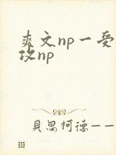 爽文np一受多攻np