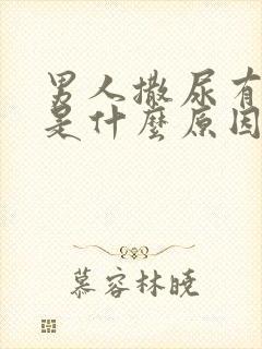 男人撒尿有泡泡是什么原因