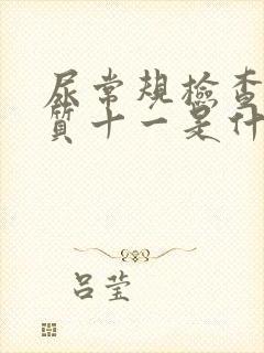 尿常规检查蛋白质十一是什么意思